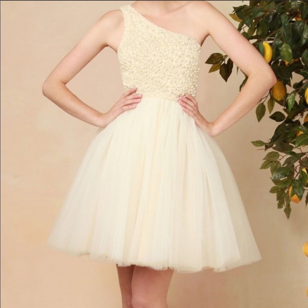 Pearl Embellished Dress